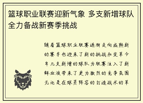篮球职业联赛迎新气象 多支新增球队全力备战新赛季挑战