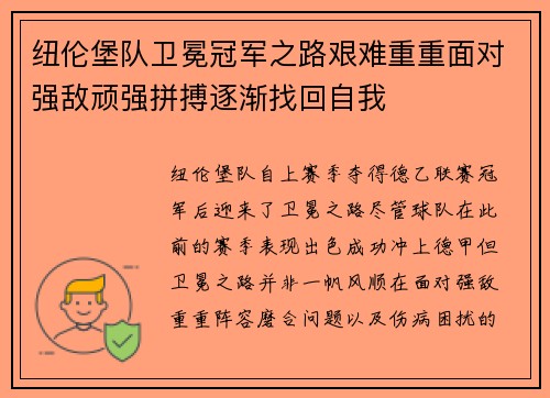 纽伦堡队卫冕冠军之路艰难重重面对强敌顽强拼搏逐渐找回自我